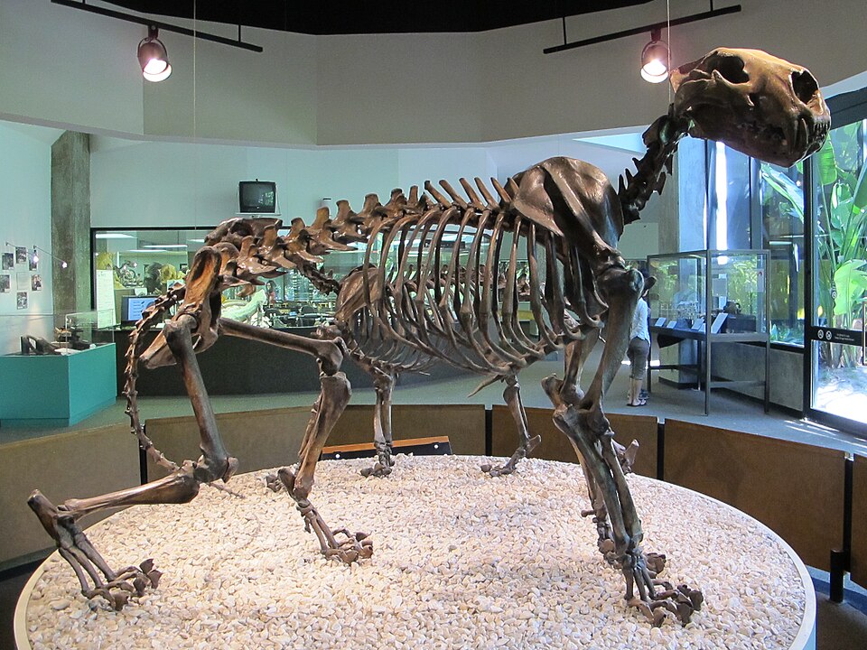 American lion
