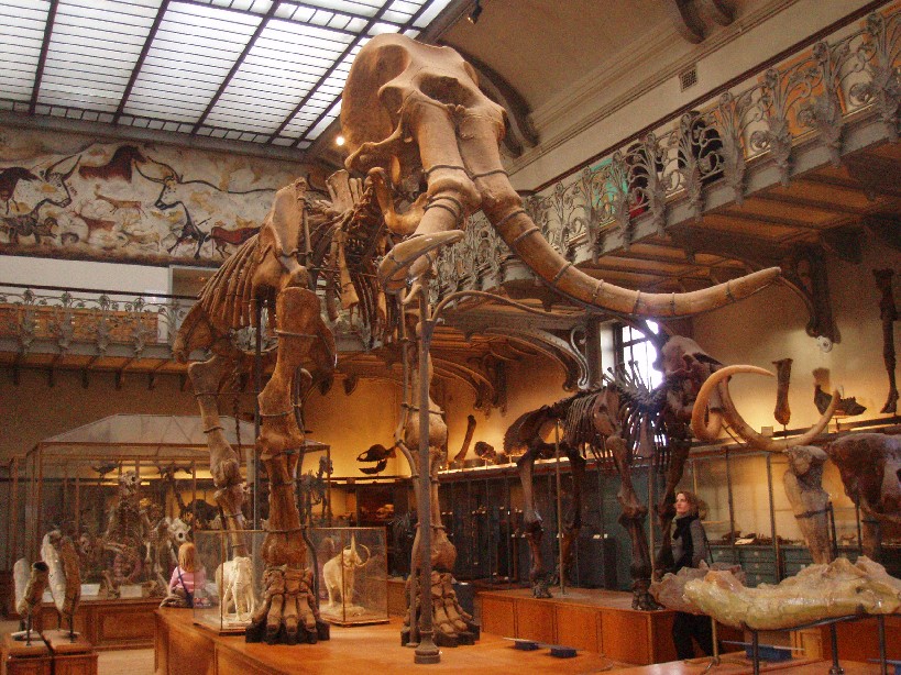 southern mammoth