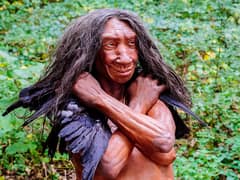 Neanderthal